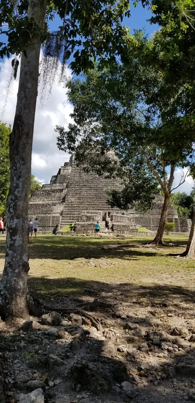 Costa Maya Adventur Tours