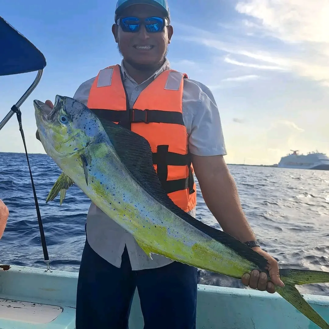 Costa Maya Adventur Tours
